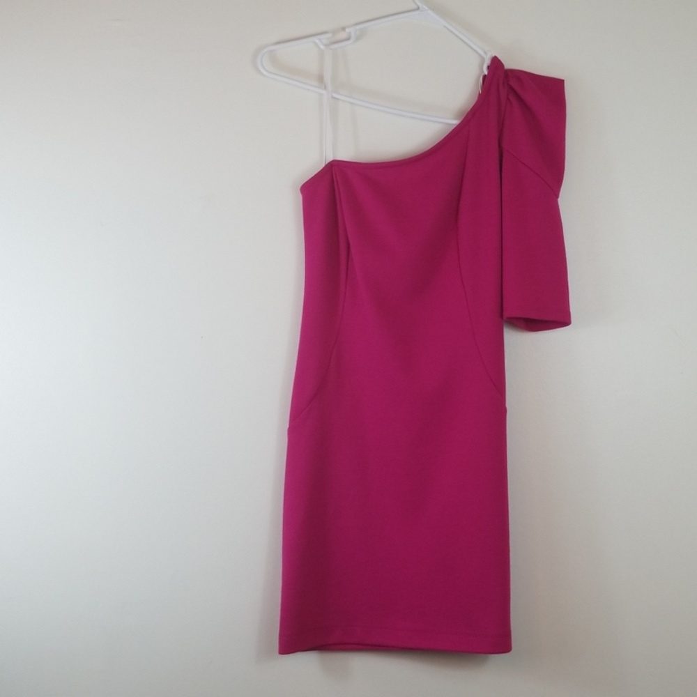 Winsor Pink Dress Size L